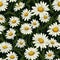 Daisy Dreams Floral Pattern Art