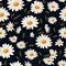 Daisy Dreams Floral Pattern Art