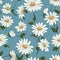 Daisy Dreams Floral Pattern Art