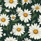 Daisy Dreams Floral Pattern Art