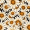 Daisy Dreams Floral Pattern Art