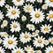 Daisy Dreams Seamless Floral Art
