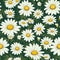 Daisy Dreams Seamless Floral Art