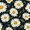 Daisy Dreams Seamless Floral Art