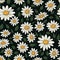 Daisy Dreams Unveiled Floral Background