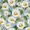 Daisy Dreams Unveiled Floral Elegance