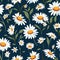 Daisy Dreams Unveiled Floral Elegance