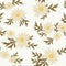 Daisy floral pattern