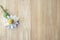 Daisy flower on a glass  wooden table, close up, above vantage point photography.