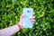 Daisy flower phone case and hand with blue nails.