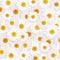 Daisy flowers background