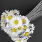 Daisy flowers bouquet