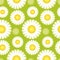 daisy green pattern