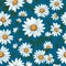 Daisy Harmony Floral Art Magic