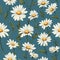 Daisy Harmony Floral Art Magic