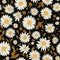 Daisy Harmony Floral Art Magic