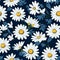 Daisy Harmony Floral Pattern Art
