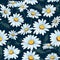 Daisy Harmony Unveiled Floral Pattern