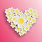 Daisy heart Valentine