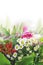 Daisy, lily, rose bunch, floral border , isolated
