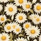 Daisy Magic Unveiled Floral Background