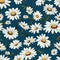 Daisy Magic Unveiled Floral Background