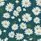 Daisy Magic Unveiled Floral Background