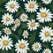 Daisy mockup for product mockup