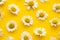 Daisy pattern. Summer chamomile flowers on yellow background. Flat lay. Top view