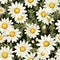 Daisy Tranquility Unveiled Seamless Delight