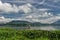 DAK LAK- VIET NAM: Group of Asian farmer go to work by row boat on Lak lake in autumn time , family of ethnic minority, grass on l