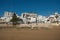 Dakhla, MOROCCO - JANUARY 18, 2020: a brown seagull in front of the ocean with houses in the background