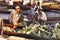 Dal Lake Morning Vegetable Market Wide