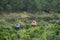 Dalat Cable Car way at Robin Hill, Vietnam