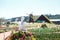 DALAT FRESH FARM - picturesque flower garden and place for visiting in Da Lat
