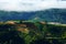 Dalat terraces, green vegetables farm