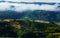 Dalat terraces, green vegetables farm