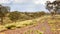 Dales Gorge Australia