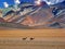 Dali Desert landscape, Bolivia