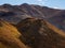 Dall Sheep on Mountain Ridge, Autumn Landscape, Denali National Park