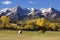 Dallas Divide, Uncompahgre National Forest, Colorado