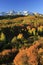 Dallas Divide, Uncompahgre National Forest, Colorado