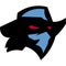 Dallas renegades sports logo