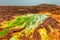 Dallol, Ethiopia. Danakil Depression