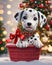 Dalmatian Christmas puppy