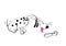 Dalmatian dog cartoon