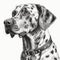 Dalmatian dog, engraving style, close-up portrait, black and white drawing, cute dog