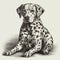 Dalmatian dog, engraving style, close-up portrait, black and white drawing, cute dog,