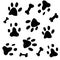 Dalmatian, dog, happy dalmatian, dog paws, bones, dog food, black and white dalmatian spots