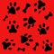 Dalmatian, dog, happy dalmatian, dog paws, bones, dog food, black and white dalmatian spots